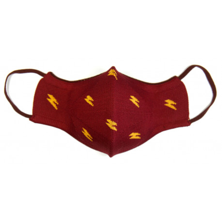 Mascarilla reutilizable Gryffindor Harry Potter