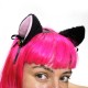 Cosplay le orecchie e la coda Kuro Neko