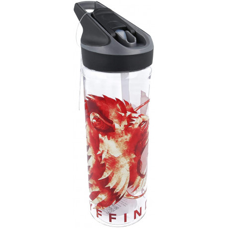 Botella Tritan Harry Potter Gryffindor 750 ml