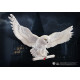 Harry Potter Escudo Hedwig 46 cm