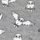 PIJAMA LARGO INTERLOCK HARRY POTTER