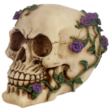 Figura Calavera Rosas Moradas Enredadera