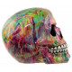 Figura Calavera Marmol Arcoiris