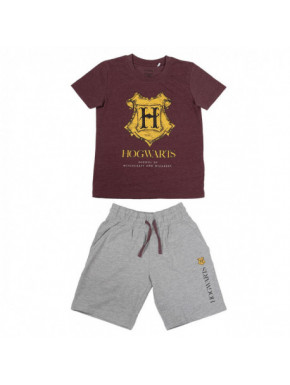 CONJUNTO 2 PIEZAS FRENCH TERRY HARRY POTTER