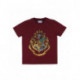PIJAMA CORTO SINGLE JERSEY HARRY POTTER