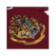 PIJAMA CORTO SINGLE JERSEY HARRY POTTER