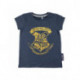 CONJUNTO 2 PIEZAS FRENCH TERRY HARRY POTTER