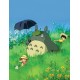 Blanket Totoro 240 x 160cm