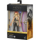 Star Wars Episode I Black Series Figura Deluxe 2021 Jar Jar Binks 15 cm