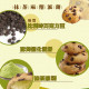 Galletas rellenas de mochi de Matcha
