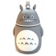 Glass Thermos Totoro