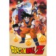 Dragon Ball Z fleece blanket