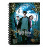 LIBRETA EFECTO 3D POSTER HARRY POTTER Y EL PRISIONERO DE AZKABAN HARRY POTTER