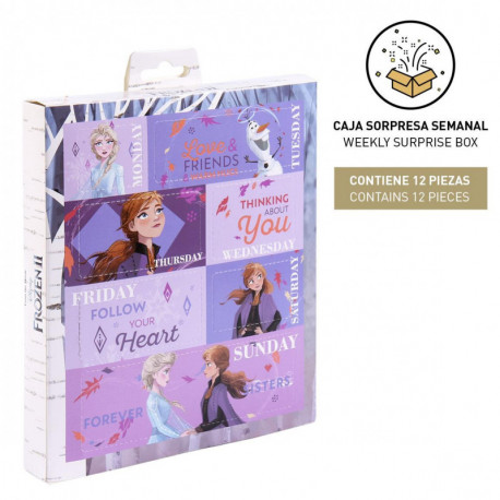 SET DE BELLEZA CAJA SORPRESA FROZEN II