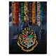 Manta Polar Hogwarts Harry Potter 100x140cm