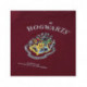 PIJAMA LARGO HARRY POTTER