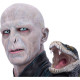 Busto Harry Potter Lord Voldemort