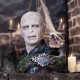 Lord Voldemort Croque Harry Potter