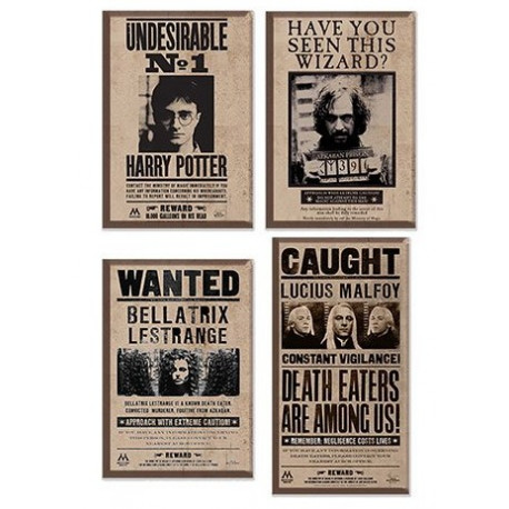 Set de Imanes Harry Potter 