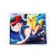 Pokemon cartera pokemons