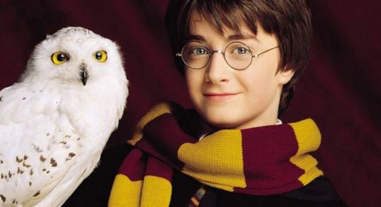 De cómo Harry Potter puede acabar (o casi) con las lechuzas
