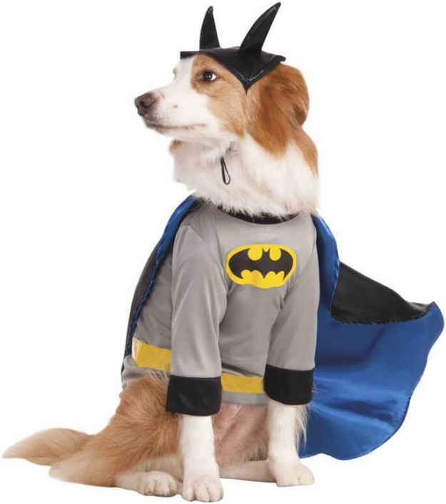 Disfraz Batman DC Comics para perro