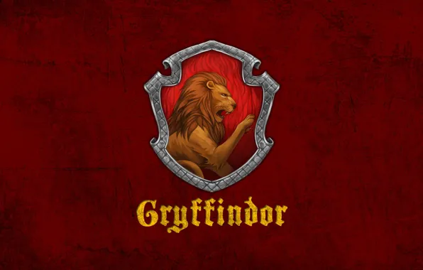 Orgullo Gryffindor🧡