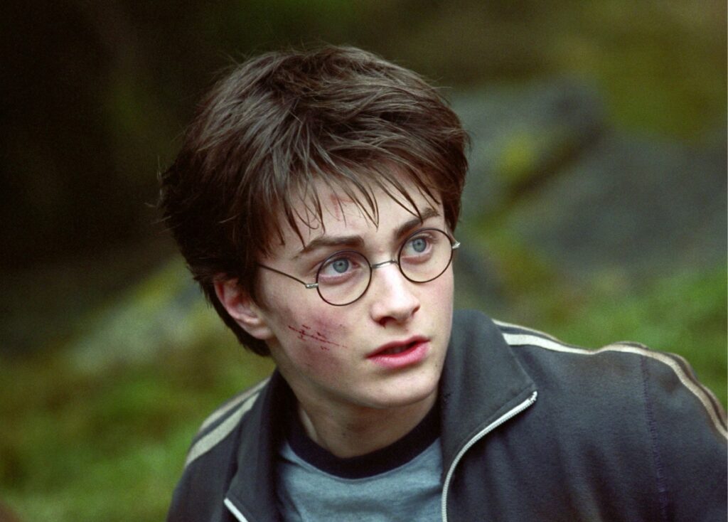 Harry Potter es Leo
