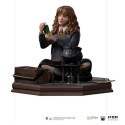 Harry Potter Figures